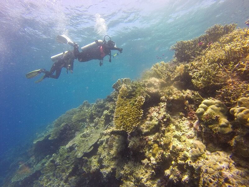 scuba-diving-1300844_1920